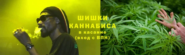 индика Белоозёрский