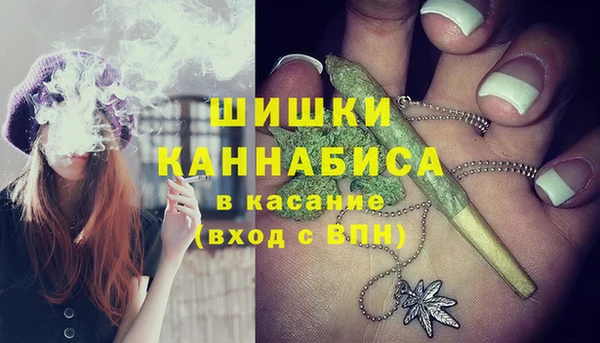индика Белоозёрский