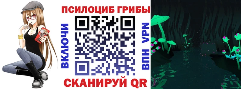 Купить закладки  Верея  Галлюциногенные грибы Psilocybe 