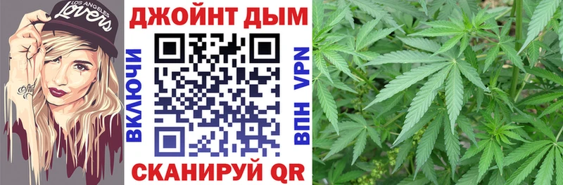 Конопля сатива  Купить  Верея 